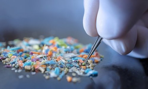 Microplastics: How the EU plans to reduce pollution by 30% by 2030