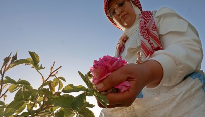 Fragrances: A Lebanese village at the heart of the Damask rose tradition