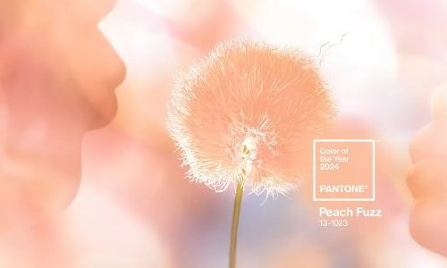 Entre douceur et sensualité, "Peach Fuzz" est la couleur de l'année 2024