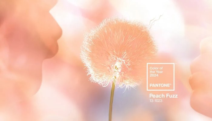 Entre douceur et sensualité, "Peach Fuzz" est la couleur de l'année 2024