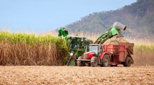 Afyren choisit Mitr Phol pour installer sa technologie bas carbone en Asie